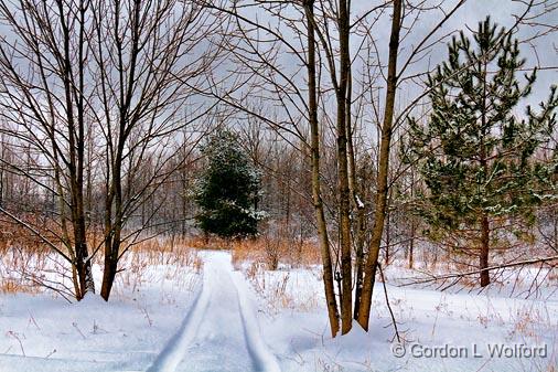 Snowy Trail_05642.jpg - Photographed at Smiths Falls, Ontario, Canada.